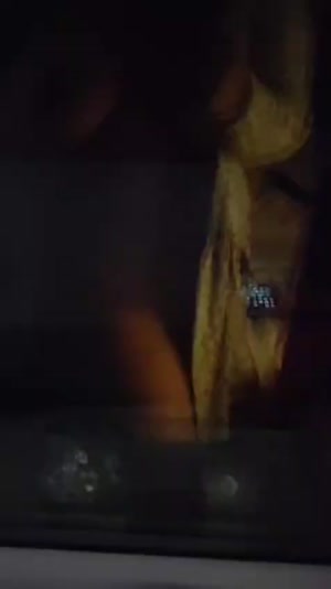 Video of Lady Velvet